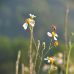 Suy niệm theo Bảy mối tội đầu