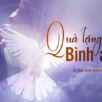 Bình an và Hi vọng – Quà tặng của Chúa Thánh Thần!