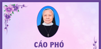 Cáo phó: Nữ tu Maria Trần Thị Lam (Cộng đoàn Trang Nứa – Hội dòng Mến Thánh Giá Vinh)