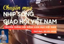 Đại hội lần 1 Ủy Ban Phát Triển Con Người Toàn Diện – Khai mạc Năm Thánh Phan Sinh – Nhịp sống Giáo hội Việt Nam số 59